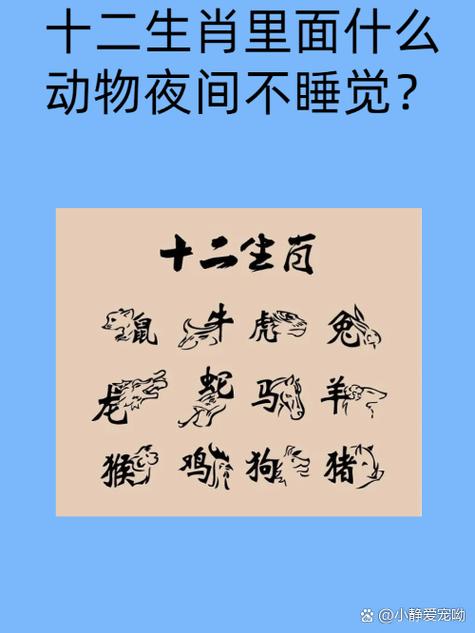包含正确答案是什么生肖动物调皮捣蛋的词条