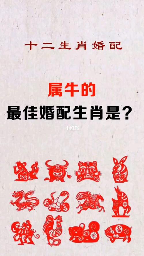 牛跟什么生肖最配对最好_牛跟什么生肖最配对最好夫妻