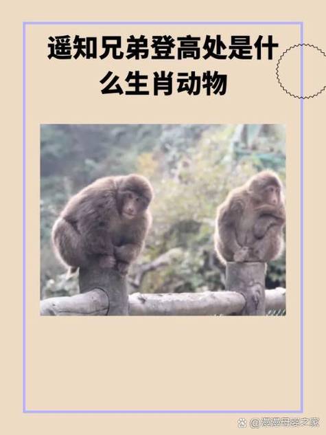 “站在高处，带点傲气。睥睨天下靠离地”是什么生肖动物的简单介绍