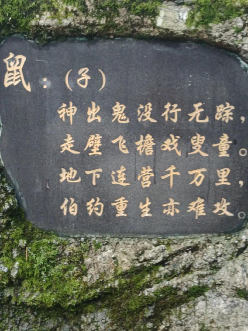 包含“杨威抖擞千山动，三三上下左右好”打一动物生肖的词条