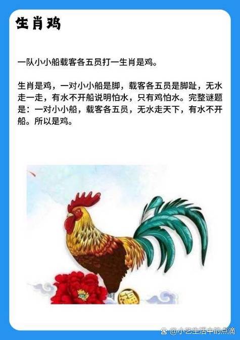 逐打一生肖最佳答案的简单介绍