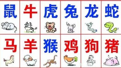 狼子野心打一生肖或一数字_狼子野心十二生肖是什么动物