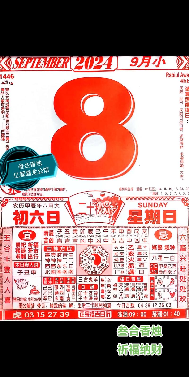 今期生肖九字头二难忘是什么数字_今期生肖九字头兔来本期看四九猜生肖
