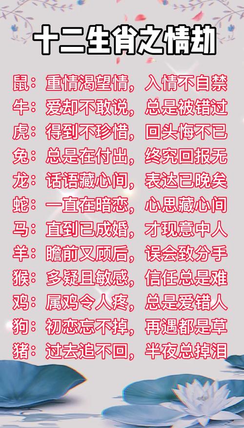 关于“前路茫茫无止境”代表什么生肖的信息