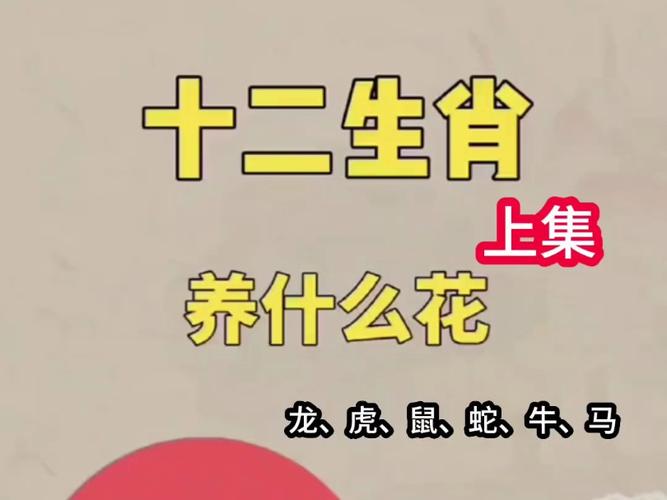 春天里头是什么生肖_春天里头开花花解生肖