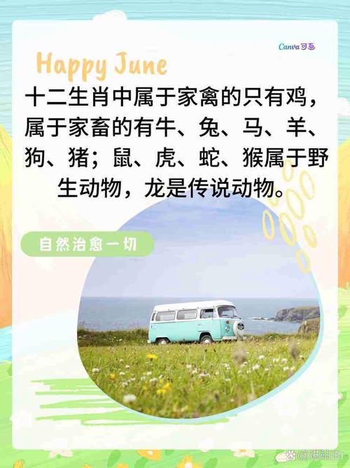马兔有数是今期是什么生肖_马兔牛鸡可猜猜是指什么生肖