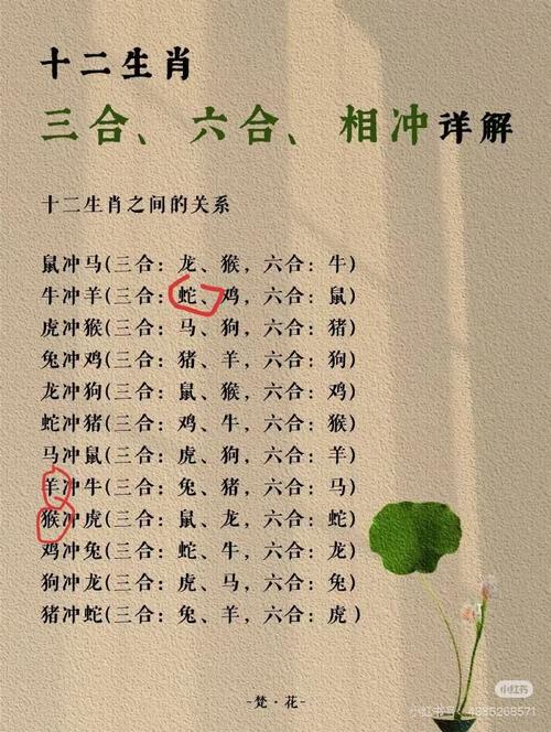 今期生肖三七加正确答案_今期生肖三七开是什么意思