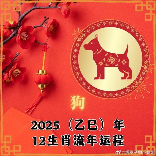 狗仗龙势打一生肖动物_狗仗人势打十二生肖什么最好