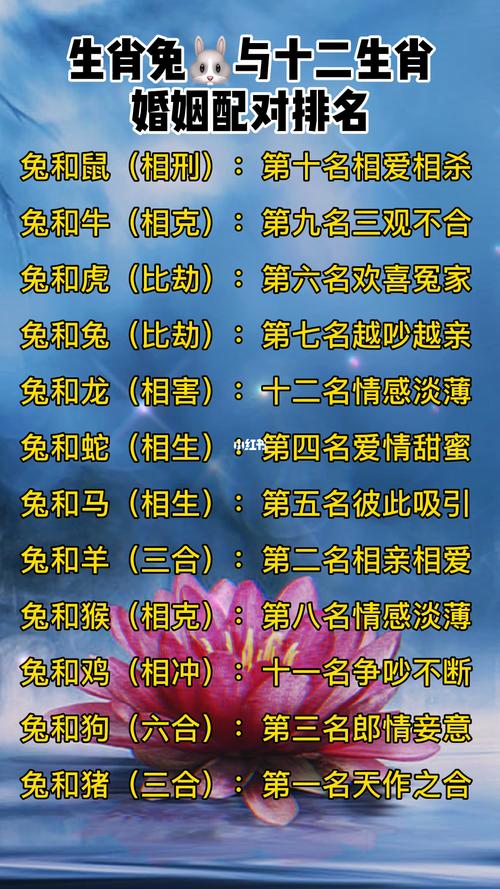 鼠配什么生肖最好马和猪_鼠配什么生肖最好马和猪相配