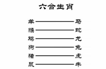 “四六从来不相合，尾边九字归零去”打一生肖是什么的简单介绍