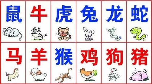 今期生肖一一开是什么生肖呀_今期开什么生肖动物视频2o19