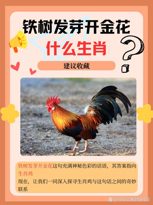 堾打一生肖最佳_春打一生肖正确答案