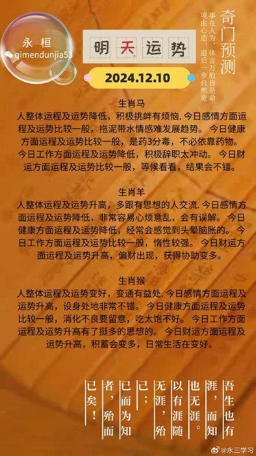 包含“今夜月明人尽望，不知横财何时发”是代表哪个生肖的词条