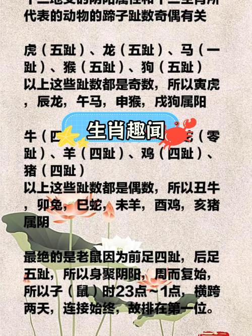 今期生肖不讲理是指什么生肖_今期生肖不讲理是指什么生肖动物