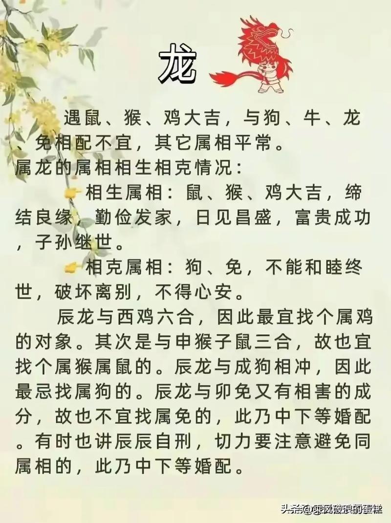 “兵戎相见，无補于事；十已功满配三四”打一最佳准确生肖的简单介绍