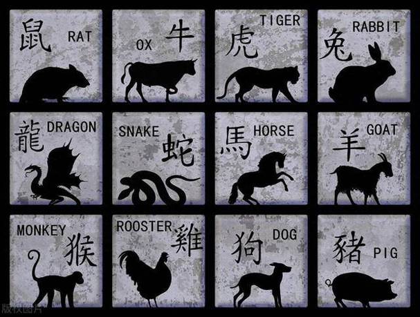 三心二意看今期打生肖_三心二意猜一码是什么生肖