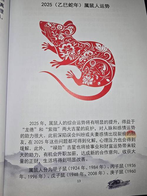 2025蛇年冲什么生肖_2025蛇年冲什么生肖属相