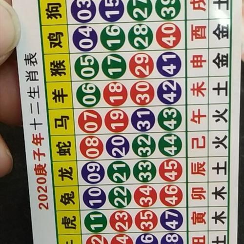 今期生肖出大数代表什么生肖_今期生肖出大数代表什么生肖动物