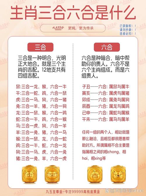 今期找太子生肖_今期生肖找太子是什么
