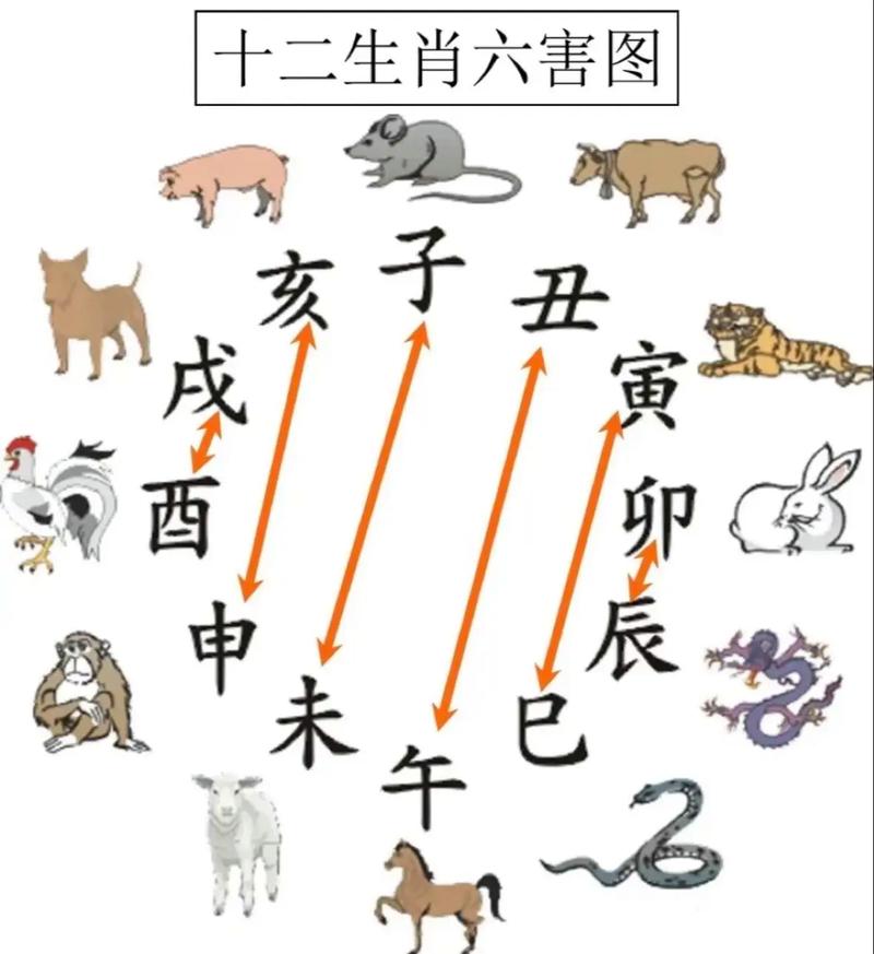 最不干净的生肖打一生肖_最不干净的动物十二生肖是谁