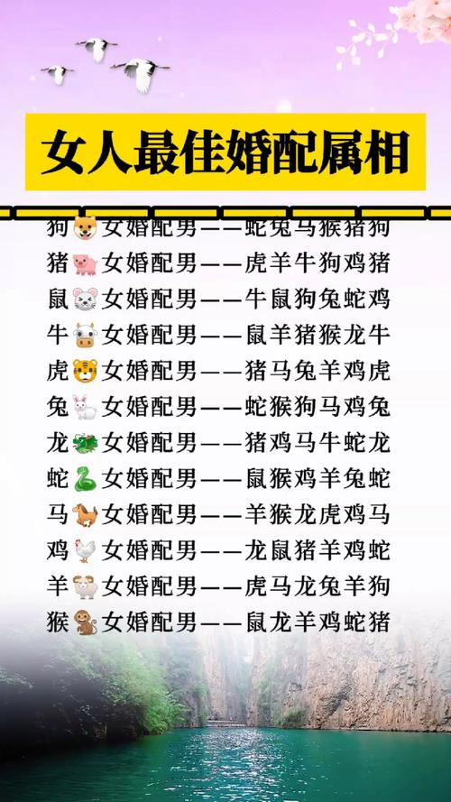 什么生肖喜欢优秀的人_哪个生肖喜欢娶漂亮老婆