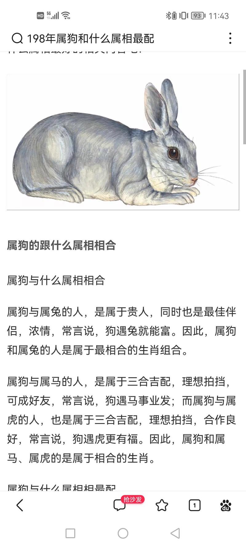 属狗的生肖跟什么生肖合得来_属狗的生肖跟什么生肖合得来呢