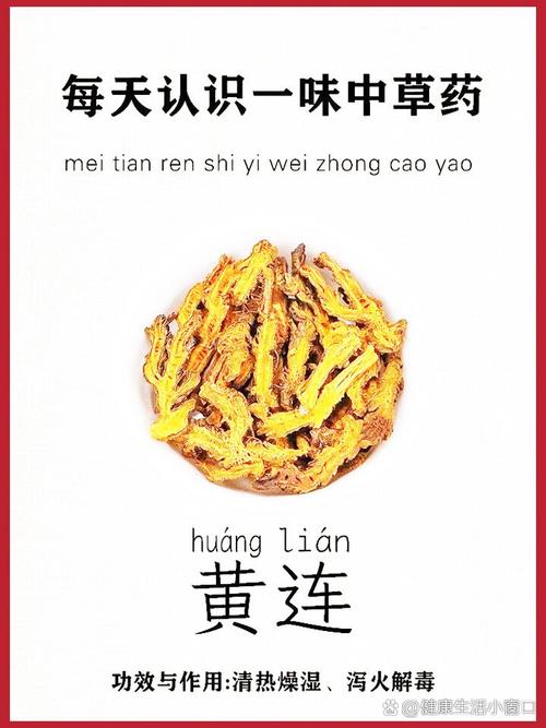 丁香叶子捧黄连打一生肖叫什么_丁香叶子捧黄连一一味比一味苦是什么生肖