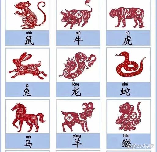 今期生肖无公理是什么生肖呢_今期生肖无公理是什么生肖呢图片