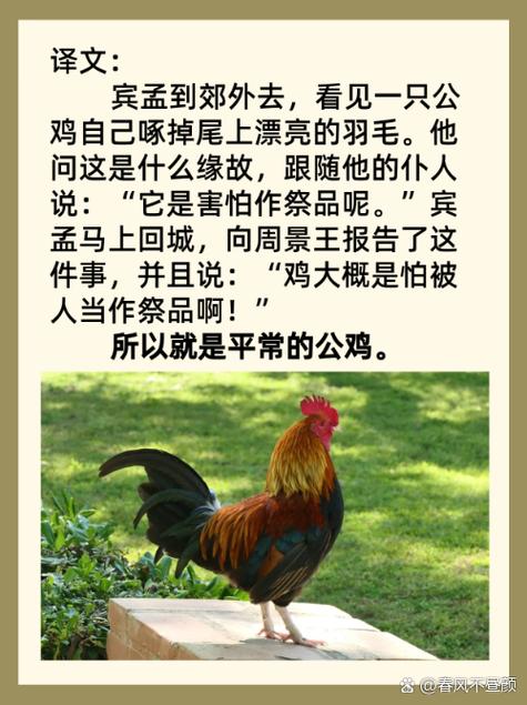 包含“大公鸡闹嗓子”打一正确的生肖的词条