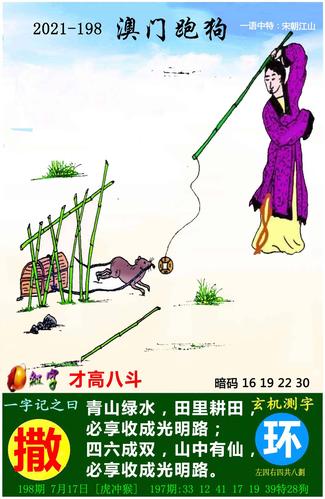 最新玄机图解析_最新玄机图片246