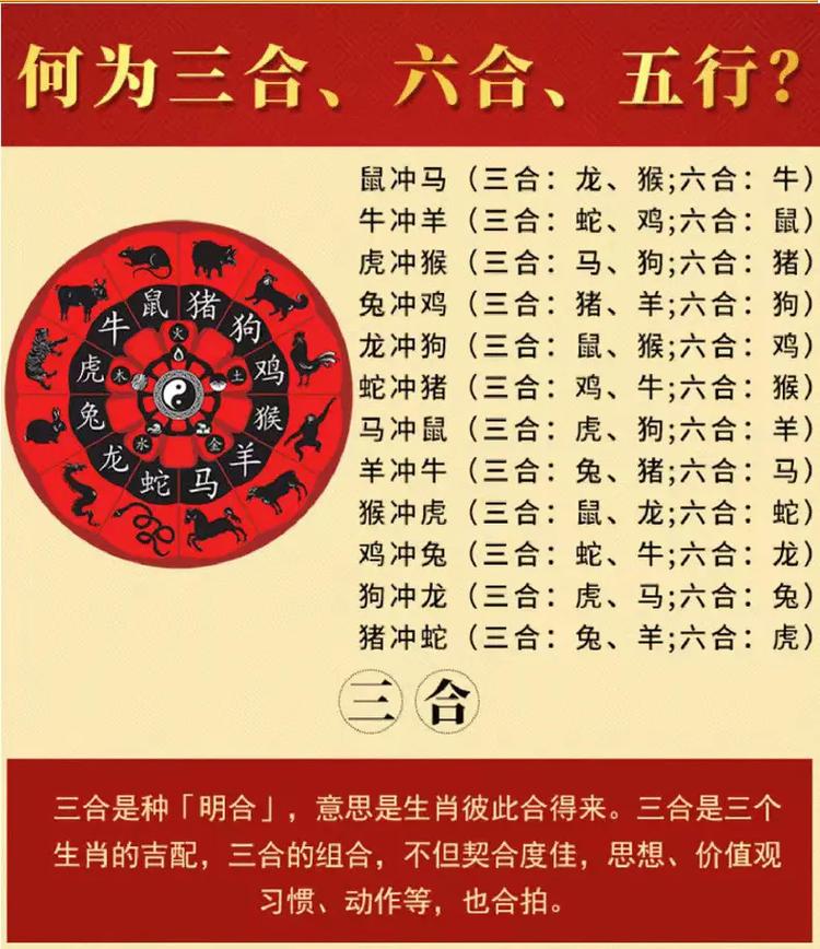 今期生肖三七加打一正确动物_今期生肖要开龙,三七二一打一个生肖