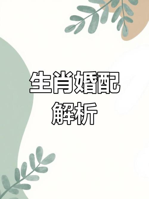 生肖猪配什么生肖婚姻最好_生肖猪配什么生肖婚姻最好呢