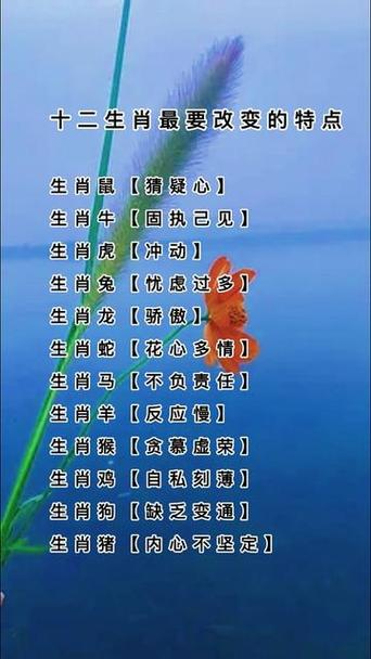 “兄弟把酒视东风”打一准确动物生肖的简单介绍