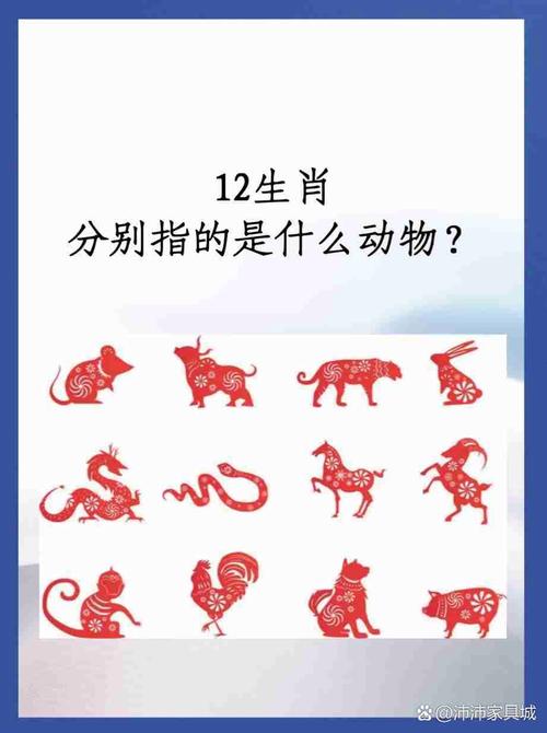 “土埋半截”是什么生肖动物_今期生肖土中找是什么生肖动物