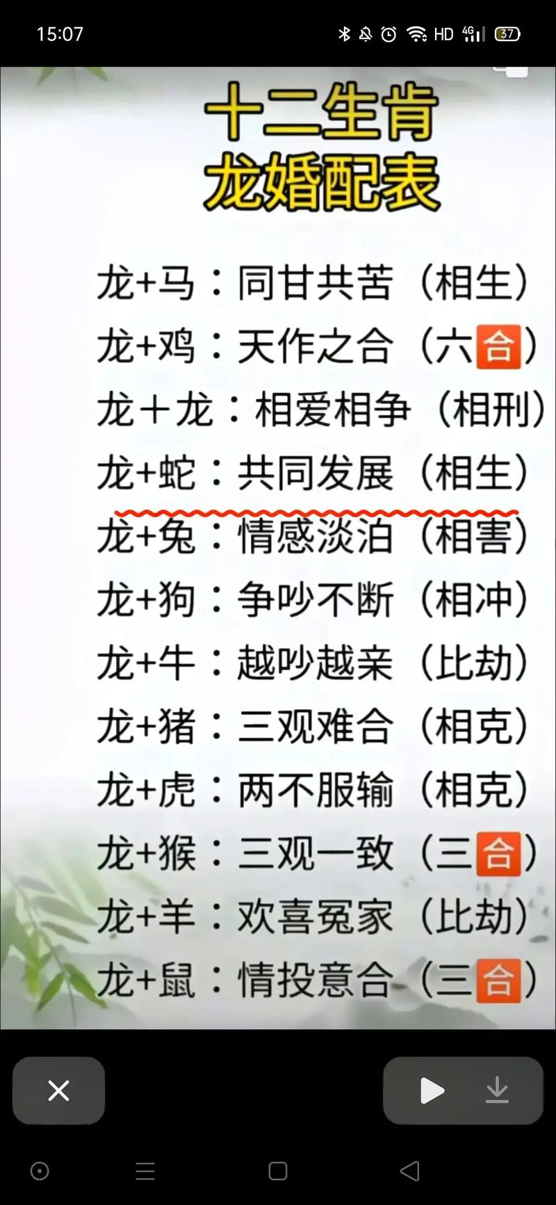 什么生肖与龙和马相合_十二生肖龙与马能不能在一起