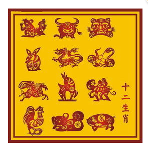 今期生肖找荷花什么生肖_云霄一中2019高考成绩