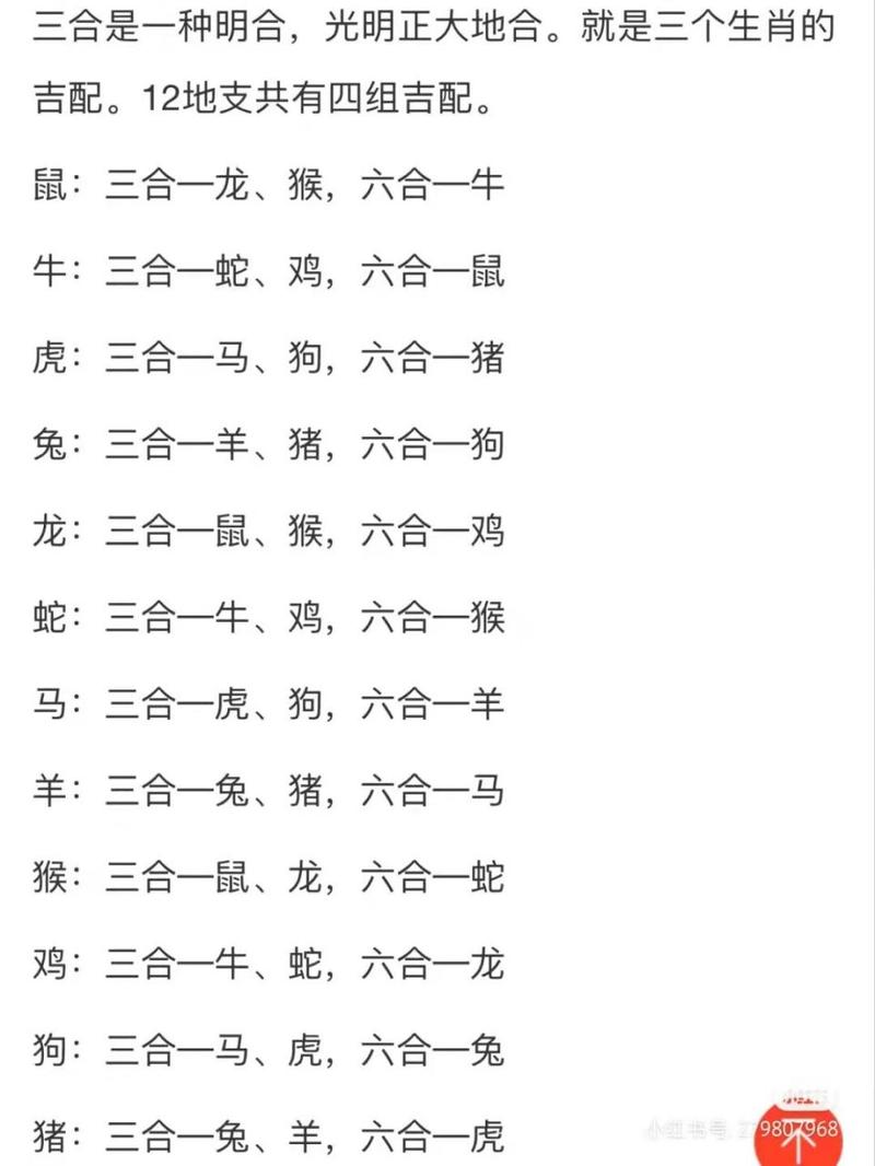 今期开头必有九打一生肖动物_今期开什么生肖动物视频2o19