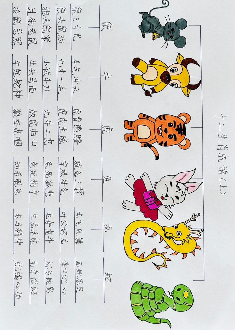 “笨脑想出笨办法，一清二楚无异议”打一准确动物生肖的简单介绍