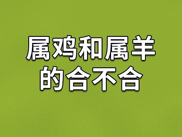 生肖羊和鸡合得来吗_生肖羊和生肖鸡能合作吗