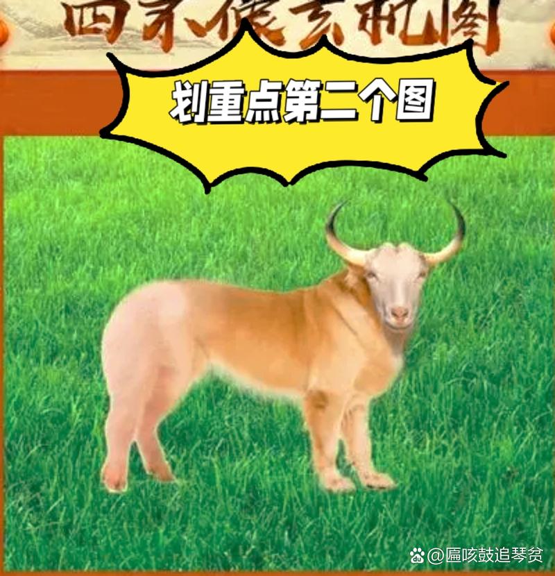 今期今晚四不像动物图片_今期四不像一肖图今天今晚