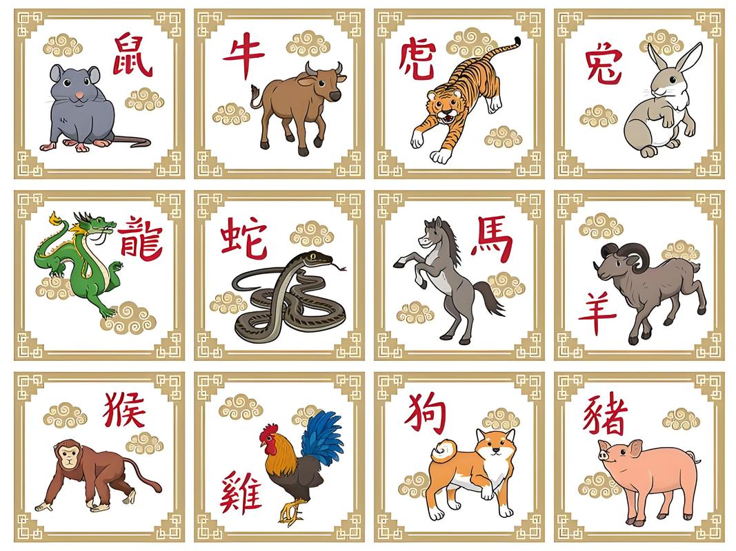 一等奖代表什么生肖_一等奖代表什么生肖和动物