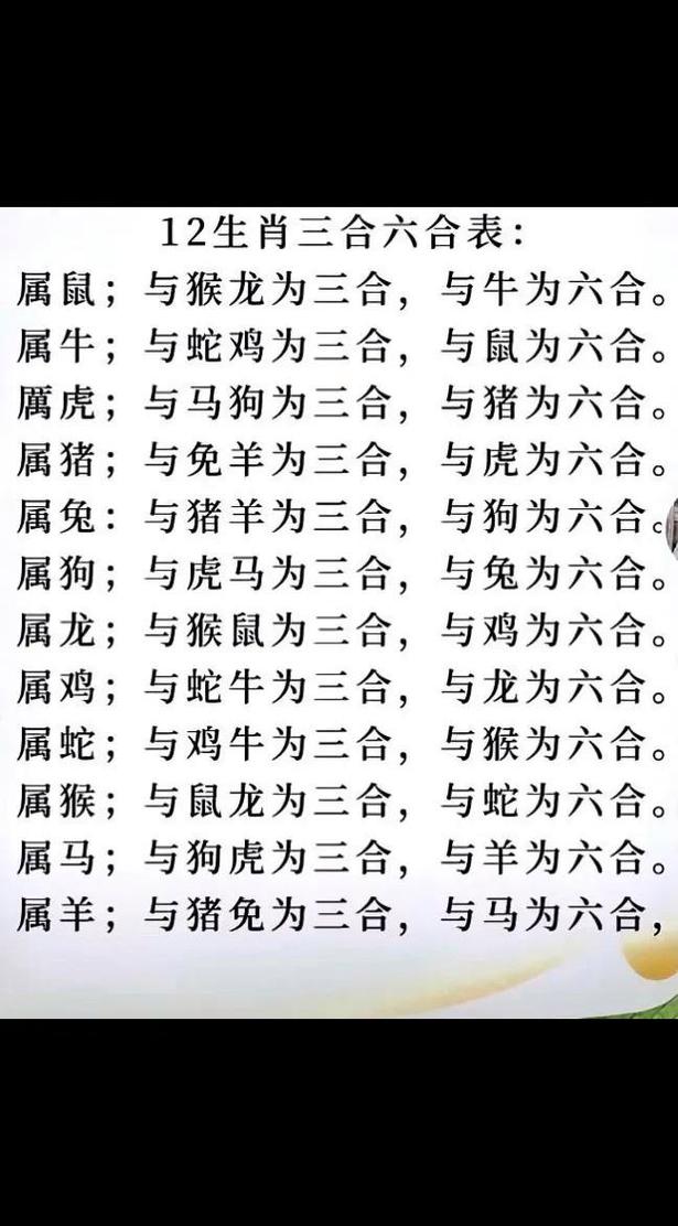 今期生肖排第三最准确生肖是什么的简单介绍