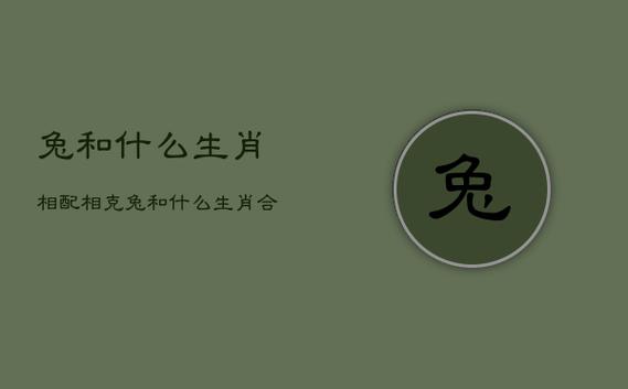 生肖兔和什么生肖最配与相忌_生肖兔和什么生肖最配与相忌相配