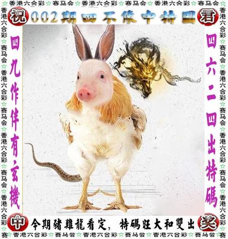 今期生肖九字开正确答案是什么_今期生肖九字头,兔来本期看四九