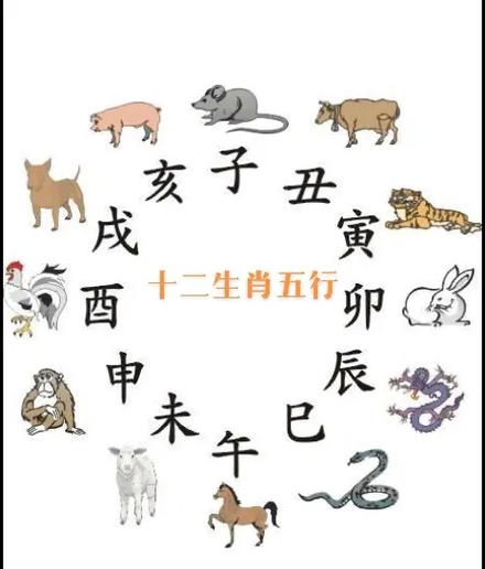 今期生肖木土旺是指什么生肖动物_今期生肖木土旺是指什么生肖动物呢