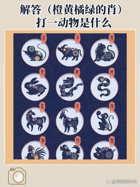 今期生肖地上找是什么动物打一肖的简单介绍
