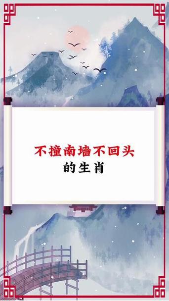 “头撞南墙”代表什么生肖的简单介绍