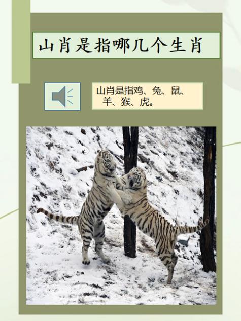 今期生肖蛇马羊打一数字_羊蛇今期来争特是什么生肖