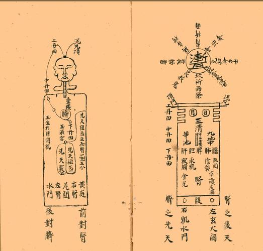 玄机问答解说_玄机猜一个数字