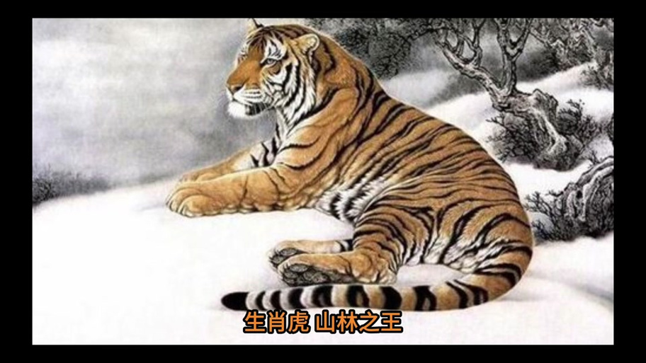 今期生肖出山林是什么意思_今期生肖出英雄是指什么生肖
